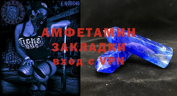 крисы Алзамай
