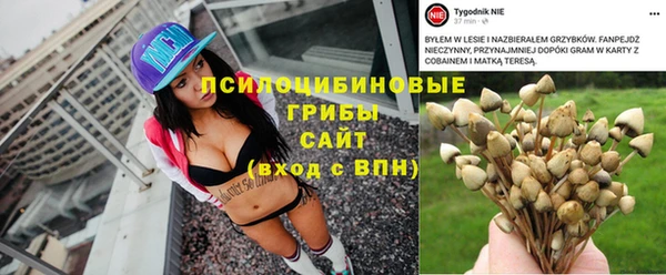 твердый Алексеевка