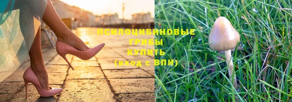 шишки Заволжье