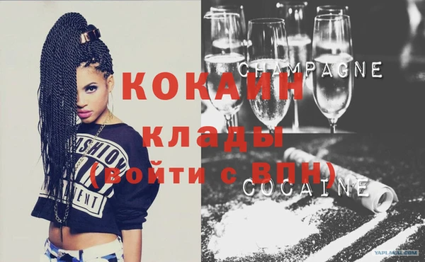 крисы Алзамай