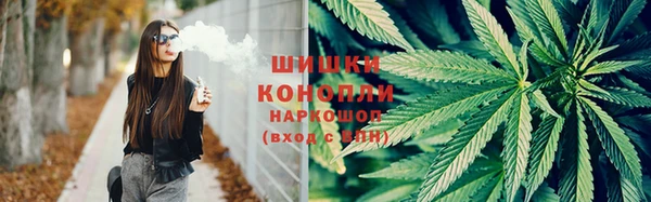 крисы Алзамай