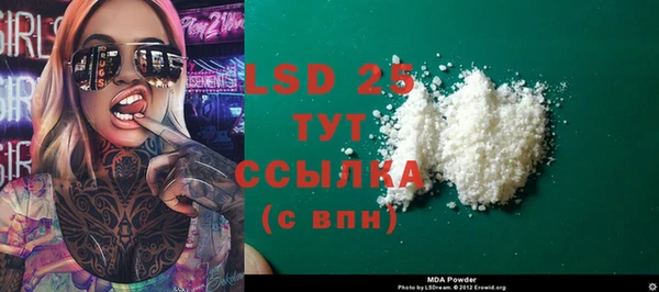 крисы Алзамай