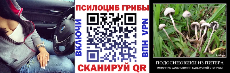 Псилоцибиновые грибы мицелий  маркетплейс официальный сайт  Раменское  закладка 