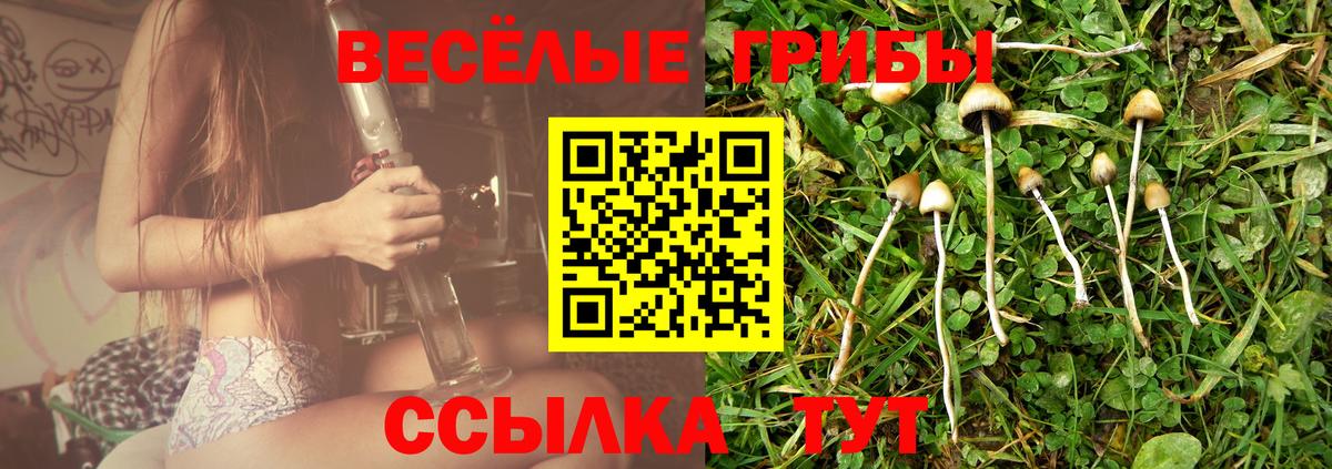 Псилоцибиновые грибы прущие грибы Раменское